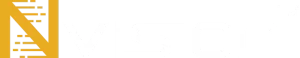 cropped-nvision-logo-header-1